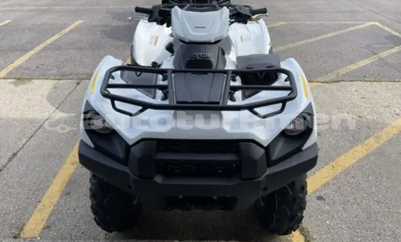 Buy New Kawasaki Brute Force White Bike in Karakala in Balkan Buy New Kawasaki Brute Force White Bike in Karakala in Balkan