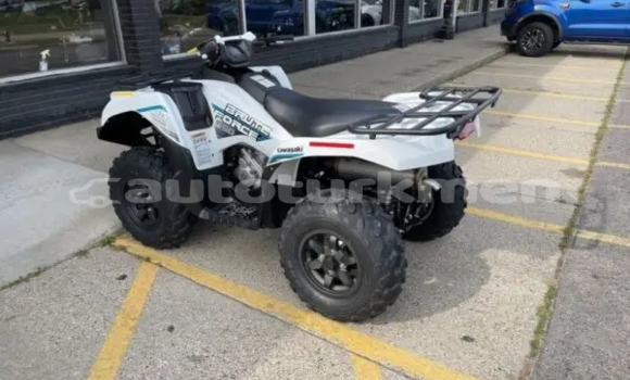 Buy New Kawasaki Brute Force White Bike in Karakala in Balkan Buy New Kawasaki Brute Force White Bike in Karakala in Balkan