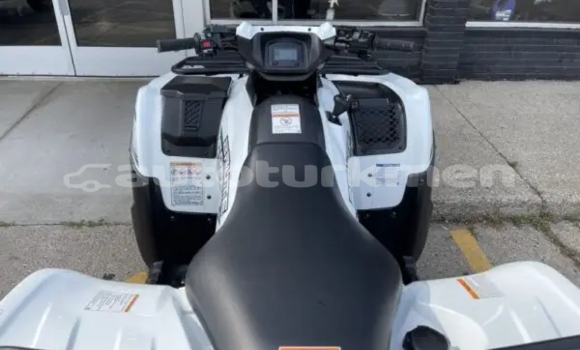 Buy New Kawasaki Brute Force White Bike in Karakala in Balkan Buy New Kawasaki Brute Force White Bike in Karakala in Balkan