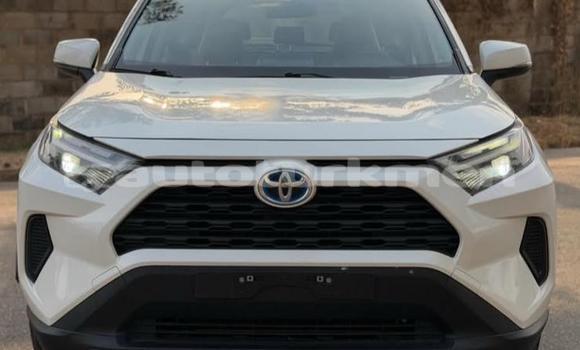 Buy Used Toyota RAV4 White Car in Asgabat in Asgabat