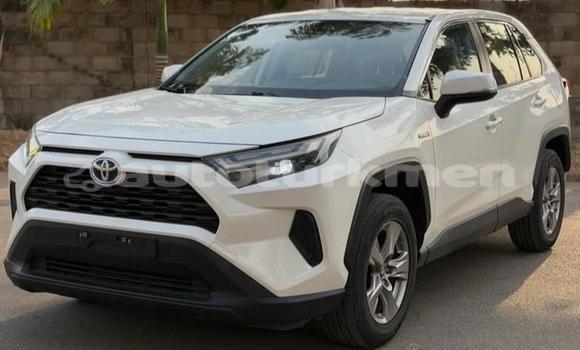 Buy Used Toyota RAV4 White Car in Asgabat in Asgabat Buy Used Toyota RAV4 White Car in Asgabat in Asgabat