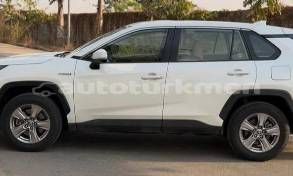 Buy Used Toyota RAV4 White Car in Asgabat in Asgabat Buy Used Toyota RAV4 White Car in Asgabat in Asgabat