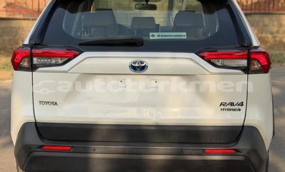 Buy Used Toyota RAV4 White Car in Asgabat in Asgabat Buy Used Toyota RAV4 White Car in Asgabat in Asgabat