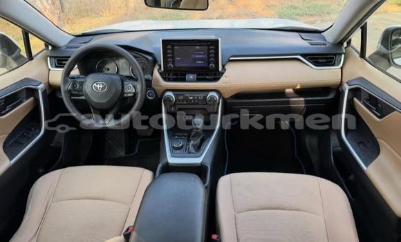 Buy Used Toyota RAV4 White Car in Asgabat in Asgabat Buy Used Toyota RAV4 White Car in Asgabat in Asgabat