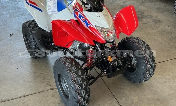 Buy New Honda TRX Other Bike in Sayat in Lebap