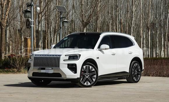 Buy New ZX Grand Tiger White Car in Asgabat in Asgabat Buy New ZX Grand Tiger White Car in Asgabat in Asgabat