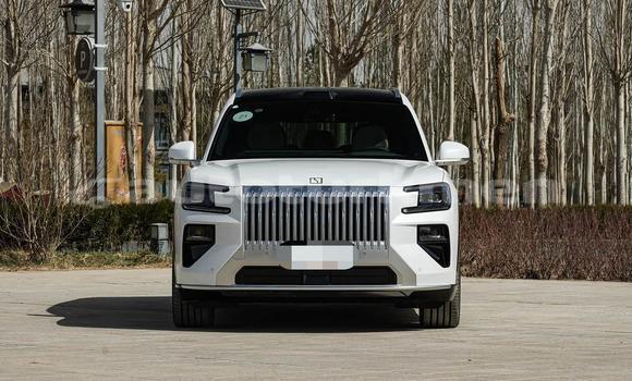 Buy New ZX Grand Tiger White Car in Asgabat in Asgabat Buy New ZX Grand Tiger White Car in Asgabat in Asgabat