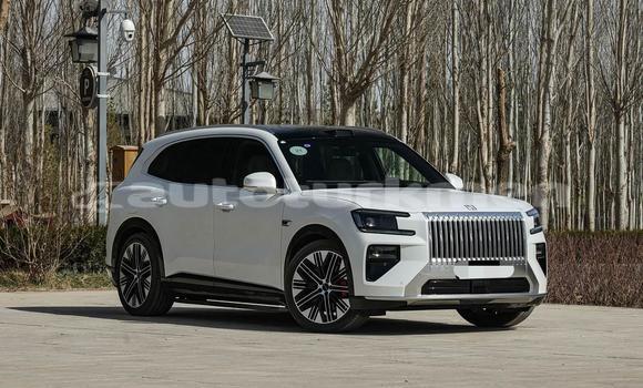 Buy New ZX Grand Tiger White Car in Asgabat in Asgabat Buy New ZX Grand Tiger White Car in Asgabat in Asgabat