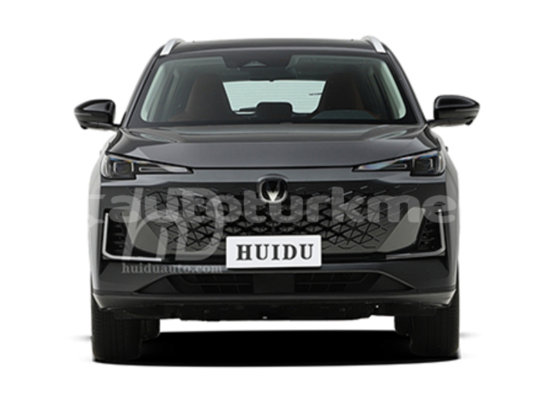 Big with watermark changan cs55 lebap govurdak 4452
