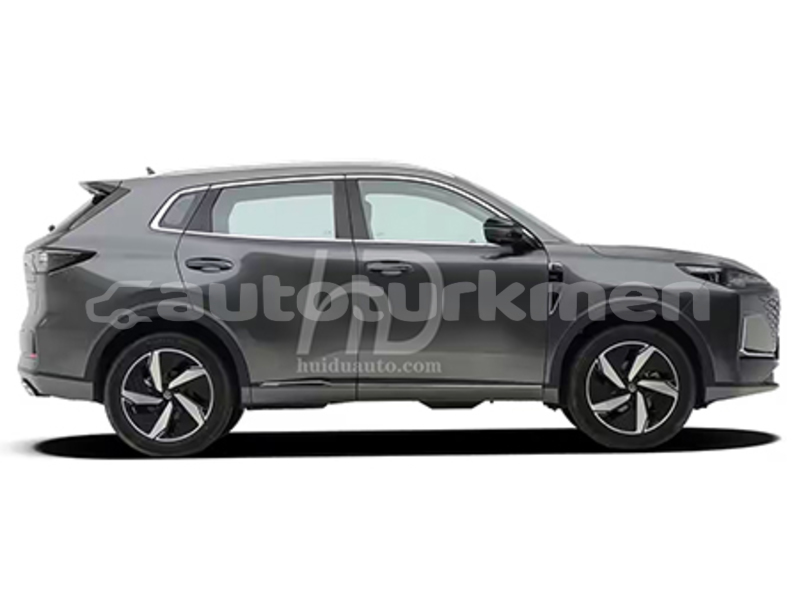 Big with watermark changan cs55 lebap govurdak 4452