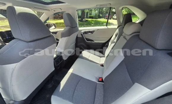 Buy Used Toyota RAV4 White Car in Akdepe in Dasoguz Buy Used Toyota RAV4 White Car in Akdepe in Dasoguz