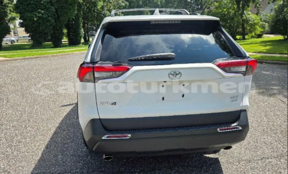 Buy Used Toyota RAV4 White Car in Akdepe in Dasoguz Buy Used Toyota RAV4 White Car in Akdepe in Dasoguz