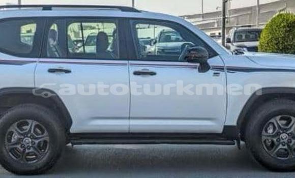 Buy Used Toyota Land Cruiser White Car in Asgabat in Asgabat Buy Used Toyota Land Cruiser White Car in Asgabat in Asgabat