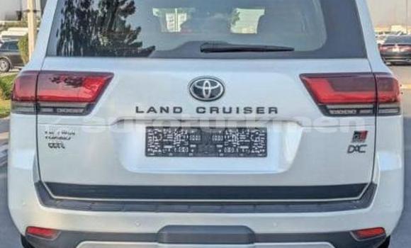 Buy Used Toyota Land Cruiser White Car in Asgabat in Asgabat Buy Used Toyota Land Cruiser White Car in Asgabat in Asgabat