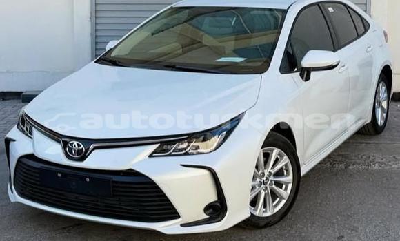 Buy Used Toyota Corolla White Car in Asgabat in Asgabat
