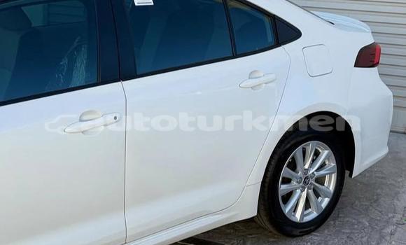 Buy Used Toyota Corolla White Car in Asgabat in Asgabat Buy Used Toyota Corolla White Car in Asgabat in Asgabat