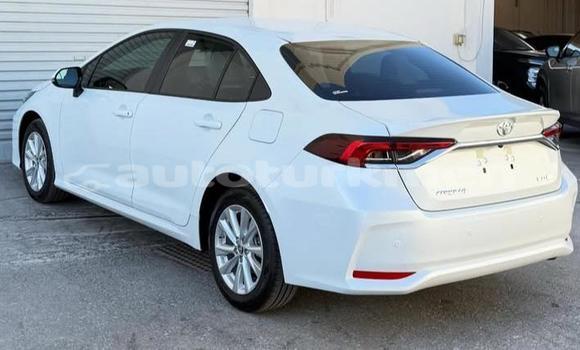 Buy Used Toyota Corolla White Car in Asgabat in Asgabat Buy Used Toyota Corolla White Car in Asgabat in Asgabat