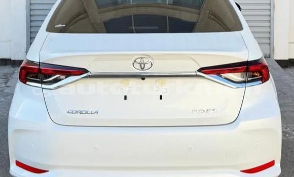 Buy Used Toyota Corolla White Car in Asgabat in Asgabat Buy Used Toyota Corolla White Car in Asgabat in Asgabat