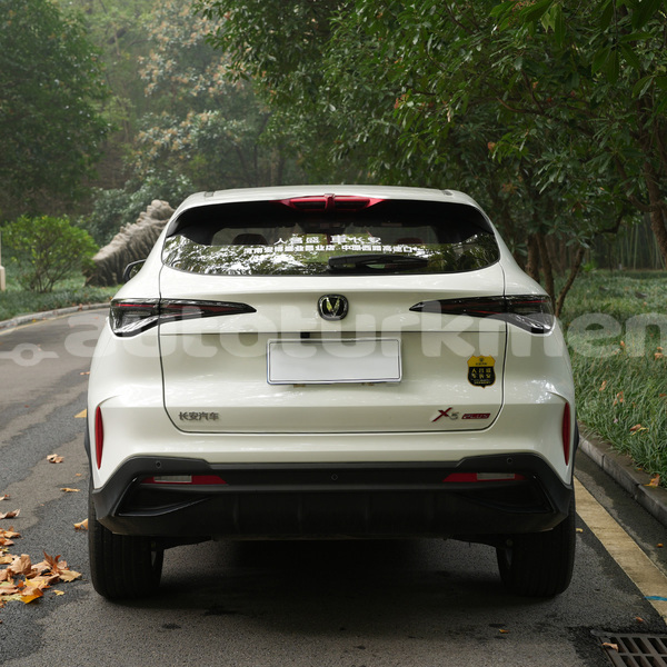 Big with watermark changan benni lebap govurdak 4467