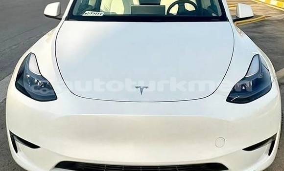 Buy Used Tesla Model X White Car in Asgabat in Asgabat