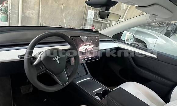 Buy Used Tesla Model X White Car in Asgabat in Asgabat Buy Used Tesla Model X White Car in Asgabat in Asgabat