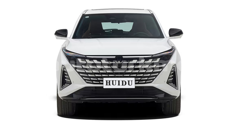 Big with watermark changan raeton lebap govurdak 4485