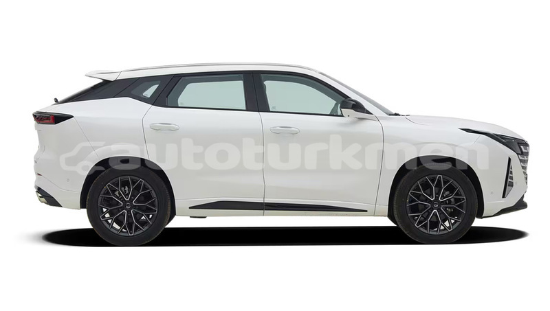 Big with watermark changan raeton lebap govurdak 4485