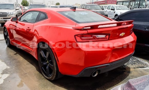 Buy Import Chevrolet Camaro Red Car in Import - Dubai in Ahal Buy Import Chevrolet Camaro Red Car in Import - Dubai in Ahal