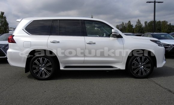 Buy Used Lexus LX 570 White Car in Adyndaky in Balkan