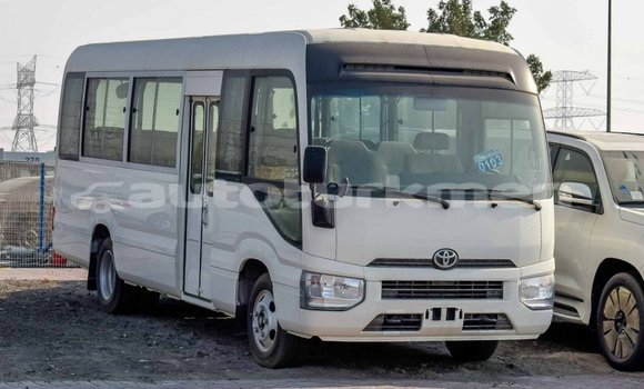 Buy Import Toyota Coaster White Car in Import - Dubai in Ahal Buy Import Toyota Coaster White Car in Import - Dubai in Ahal