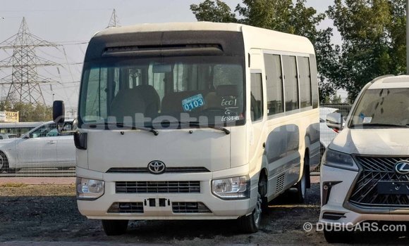 Buy Import Toyota Coaster White Car in Import - Dubai in Ahal Buy Import Toyota Coaster White Car in Import - Dubai in Ahal