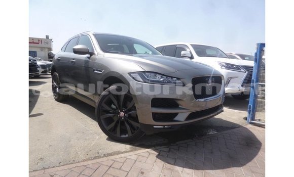 Buy Import Jaguar F-Pace Other Car in Import - Dubai in Ahal