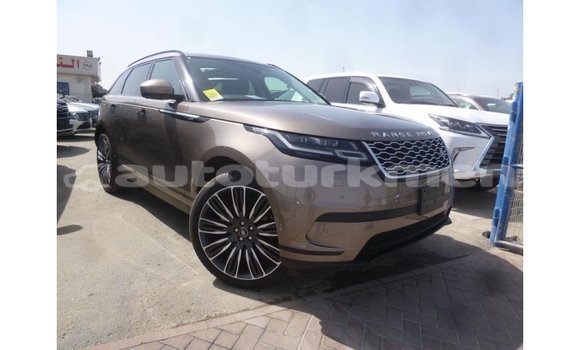 Buy Import Land Rover Range Rover Brown Car in Import - Dubai in Ahal