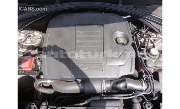 Buy Import Land Rover Range Rover Brown Car in Import - Dubai in Ahal Buy Import Land Rover Range Rover Brown Car in Import - Dubai in Ahal