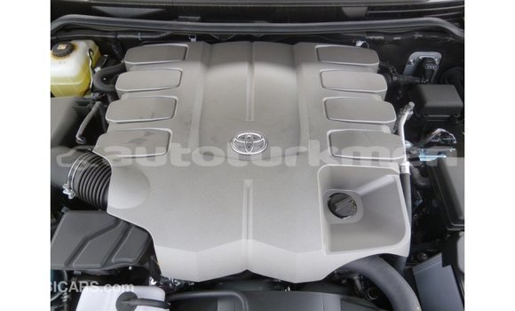 Buy Import Toyota Land Cruiser Black Car in Import - Dubai in Ahal Buy Import Toyota Land Cruiser Black Car in Import - Dubai in Ahal