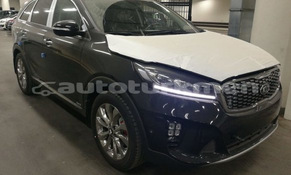 Buy Import Kia Sorento Brown Car in Import - Dubai in Ahal