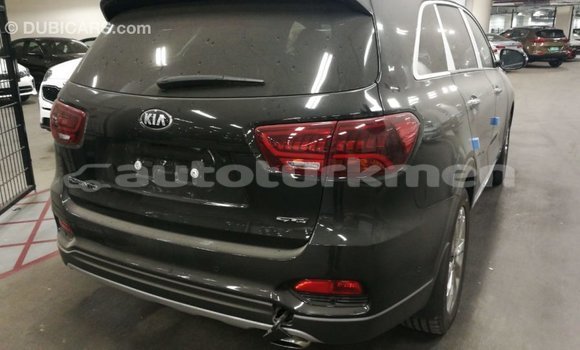 Buy Import Kia Sorento Brown Car in Import - Dubai in Ahal Buy Import Kia Sorento Brown Car in Import - Dubai in Ahal