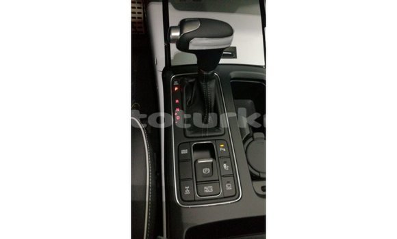 Buy Import Kia Sorento Brown Car in Import - Dubai in Ahal Buy Import Kia Sorento Brown Car in Import - Dubai in Ahal