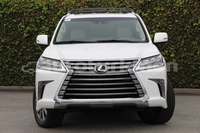 Big with watermark lx 1