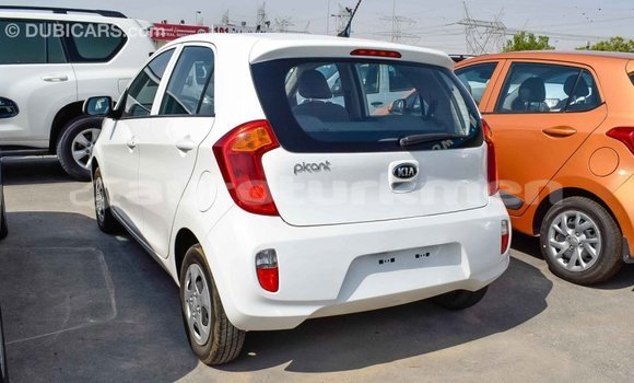 Buy Import Kia Picanto White Car in Import - Dubai in Ahal Buy Import Kia Picanto White Car in Import - Dubai in Ahal