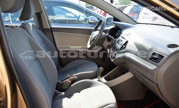 Buy Import Kia Picanto Brown Car in Import - Dubai in Ahal Buy Import Kia Picanto Brown Car in Import - Dubai in Ahal