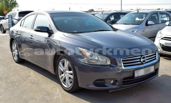 Buy Import Nissan Maxima Other Car in Import - Dubai in Ahal Buy Import Nissan Maxima Other Car in Import - Dubai in Ahal