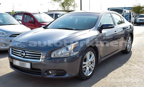 Buy Import Nissan Maxima Other Car in Import - Dubai in Ahal Buy Import Nissan Maxima Other Car in Import - Dubai in Ahal