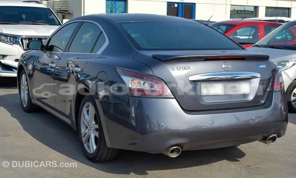 Buy Import Nissan Maxima Other Car in Import - Dubai in Ahal Buy Import Nissan Maxima Other Car in Import - Dubai in Ahal
