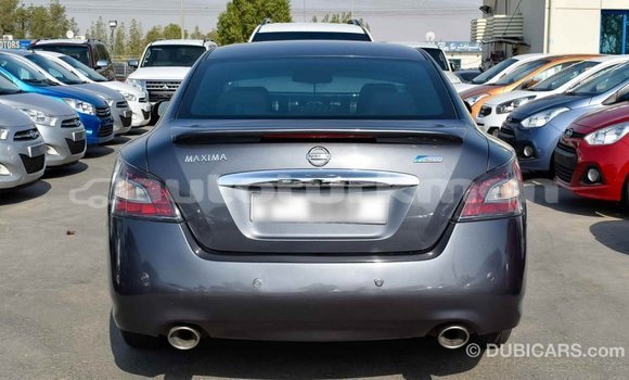 Buy Import Nissan Maxima Other Car in Import - Dubai in Ahal Buy Import Nissan Maxima Other Car in Import - Dubai in Ahal