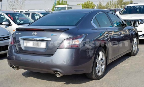 Buy Import Nissan Maxima Other Car in Import - Dubai in Ahal Buy Import Nissan Maxima Other Car in Import - Dubai in Ahal