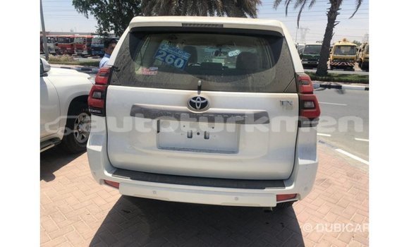 Buy Import Toyota Prado White Car in Import - Dubai in Ahal Buy Import Toyota Prado White Car in Import - Dubai in Ahal