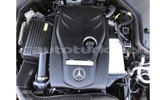 Buy Import Mercedes-Benz 200 Other Car in Import - Dubai in Ahal Buy Import Mercedes-Benz 200 Other Car in Import - Dubai in Ahal