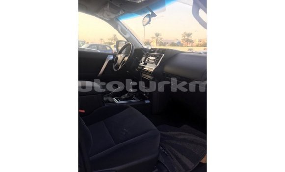 Buy Import Toyota Prado Black Car in Import - Dubai in Ahal Buy Import Toyota Prado Black Car in Import - Dubai in Ahal
