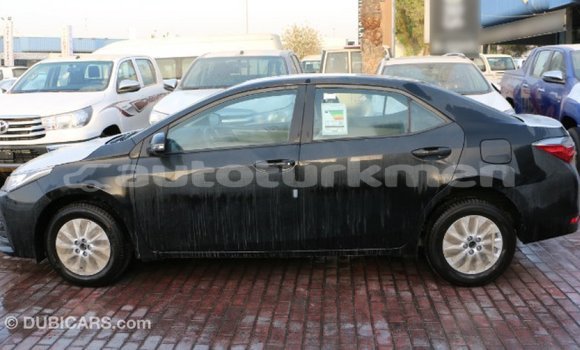 Buy Import Toyota Corolla Black Car in Import - Dubai in Ahal Buy Import Toyota Corolla Black Car in Import - Dubai in Ahal